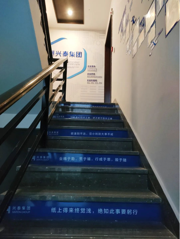 333体育-全网最有气氛的体育赛事直播平台